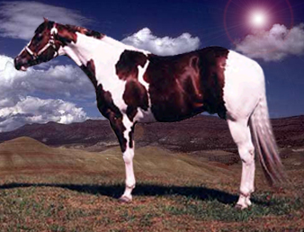 chevale